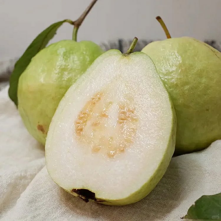 🎉(Nueva cosecha) Semillas de guayaba rosa orgánica | 🌼🌼Preparadas para una alta germinación (99% de germinación)-B-XA