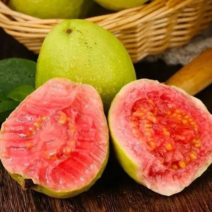 🎉(Nueva cosecha) Semillas de guayaba rosa orgánica | 🌼🌼Preparadas para una alta germinación (99% de germinación)-B-XA