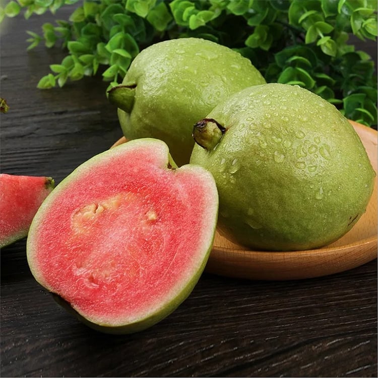 🎉(Nueva cosecha) Semillas de guayaba rosa orgánica | 🌼🌼Preparadas para una alta germinación (99% de germinación)-A-XA