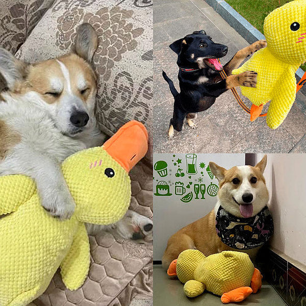 Peluche calmante per cani con suono di starnazzamento – riduce l’ansia da separazione | CALMQUA