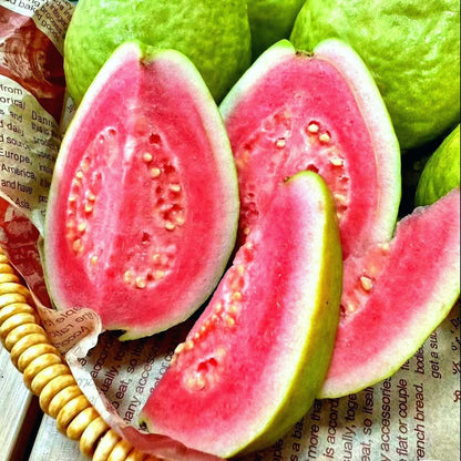 🎉(Nueva cosecha) Semillas de guayaba rosa orgánica | 🌼🌼Preparadas para una alta germinación (99% de germinación)-B-XA