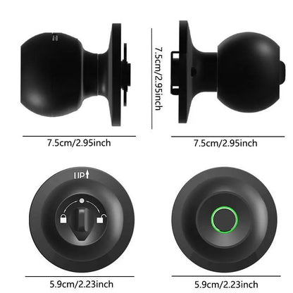 EUERTE Smart Fingerprint Door Lock 3-in-1 with TT App Control & 5S Auto-Lock Rechargeable Battery for Rooms Offices Apartments Warehouses Garages Black Friday Gift-H1